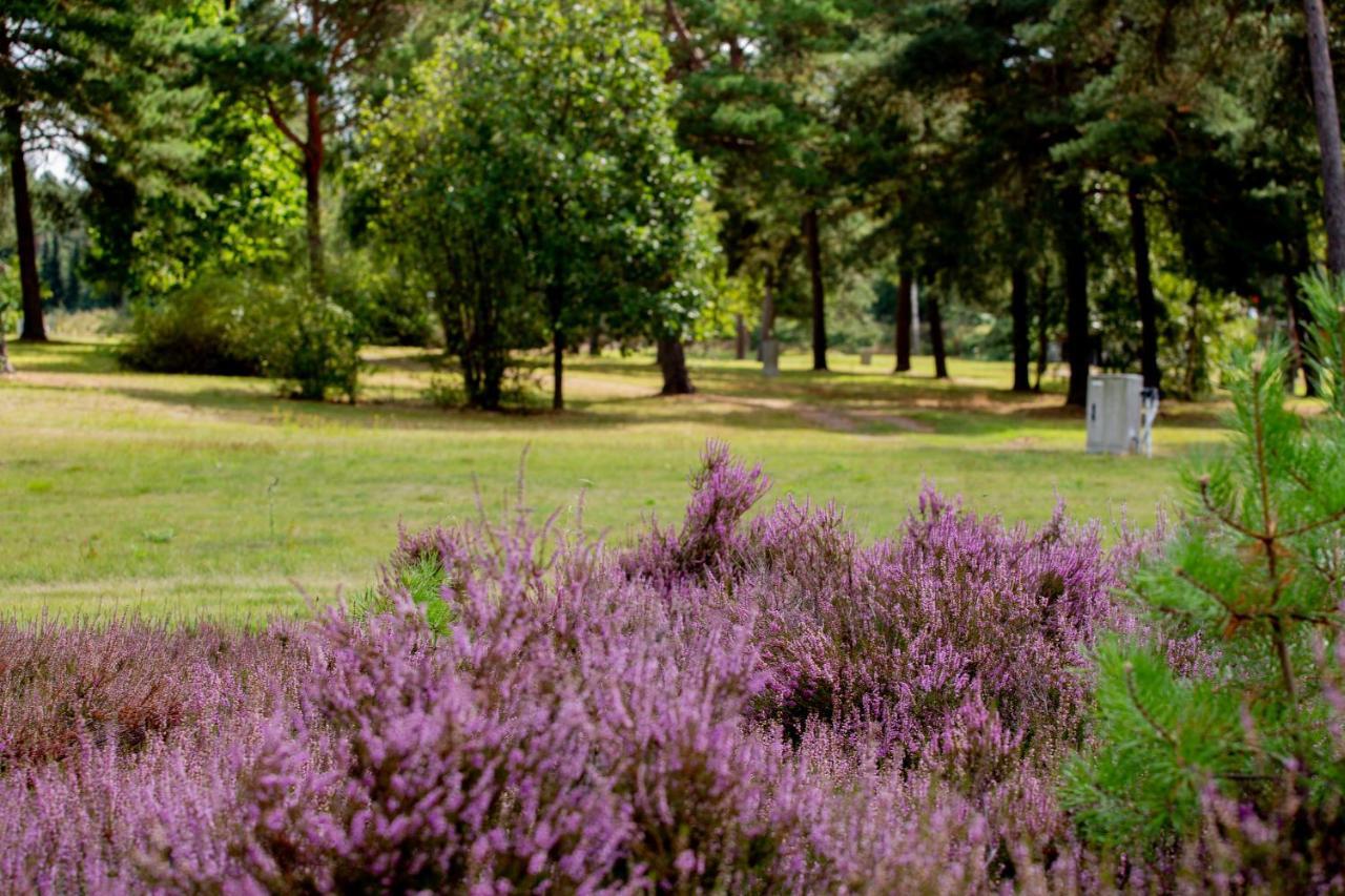 Naturcamping Lueneburger Heide - Chalets & Tiny Haeuser Soltau Εξωτερικό φωτογραφία