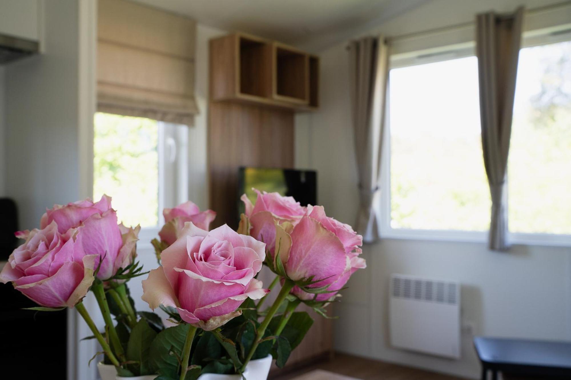 Naturcamping Lueneburger Heide - Chalets & Tiny Haeuser Soltau Εξωτερικό φωτογραφία